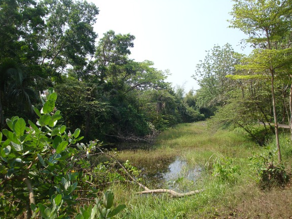 The lake forms a moat