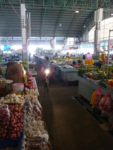 There are always Thais riding motorcycles in Thai markets.