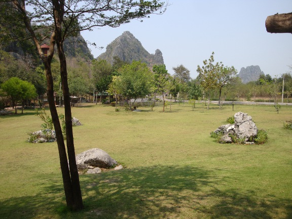 The gardens