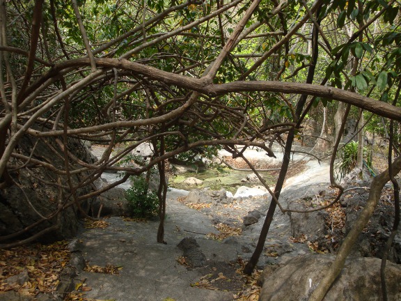 The mini-lake through the trees