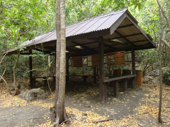 Lean-to for observing wildlife