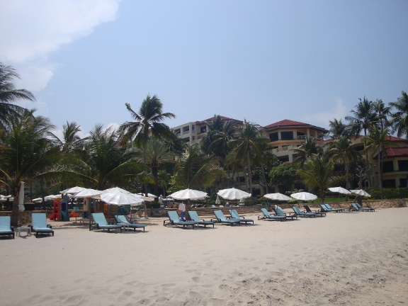 Sun loungers on the sand