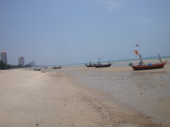 The beach itself was a lot cleaner in front of the many resorts/condos/hotels, although there was still much room for improvement