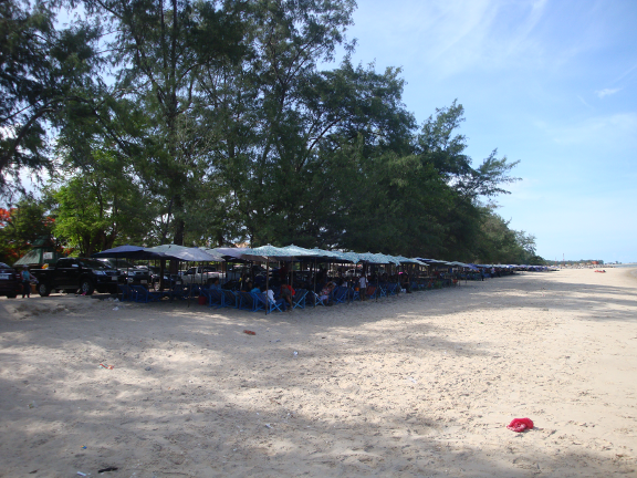 beach umbrellas, deckchairs and sunbeds were starting to venture on to the beach