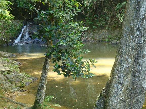 those who wanted could jump in for a swim