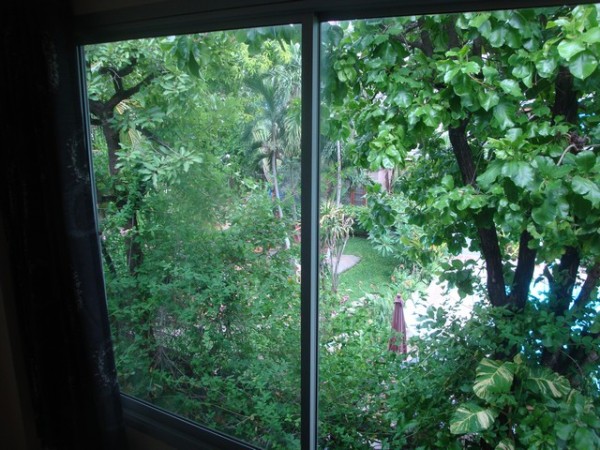 room sized panoramic window overlooking the relaxing gardens and swimming pool