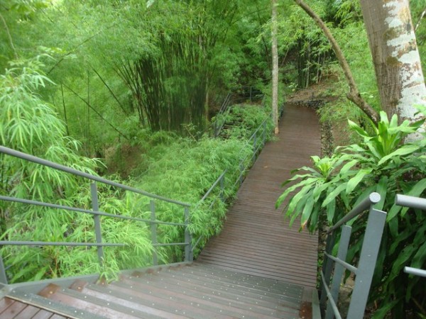 We went down the wooden walkway/stairs