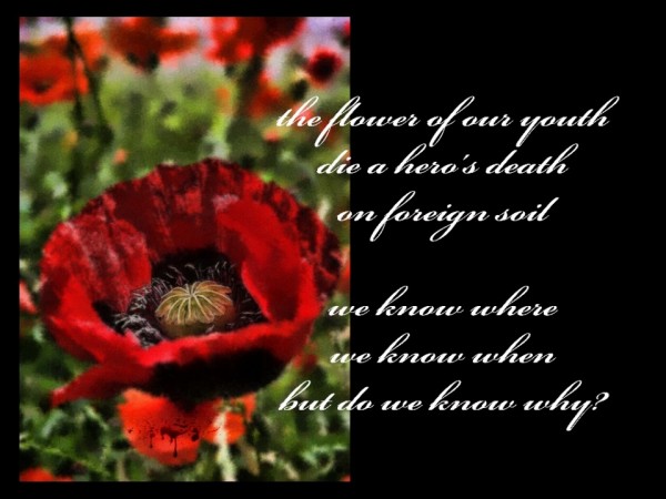 poppies watercolour text 1024x768x.jpg