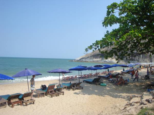 Another south facing view with<br />beach chairs and umbrellas