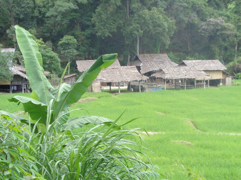 the ‘plastic’ very authentic looking village