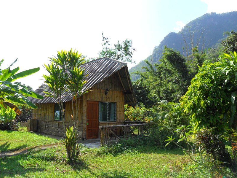 Chiang Dao Nest bungalow.jpg