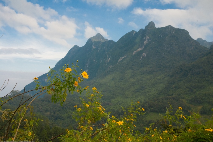 scenic Chiang Dao (700x468).jpg