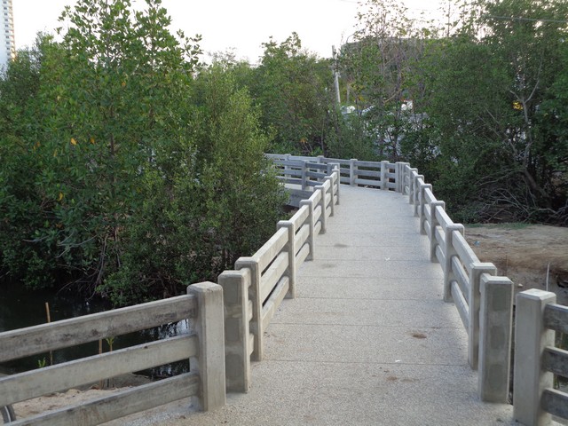 Concrete raised walkways had been created