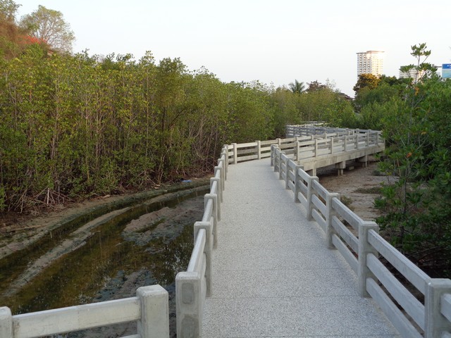 Concrete raised walkways had been created