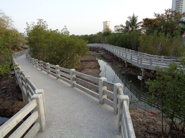 Concrete raised walkways had been created