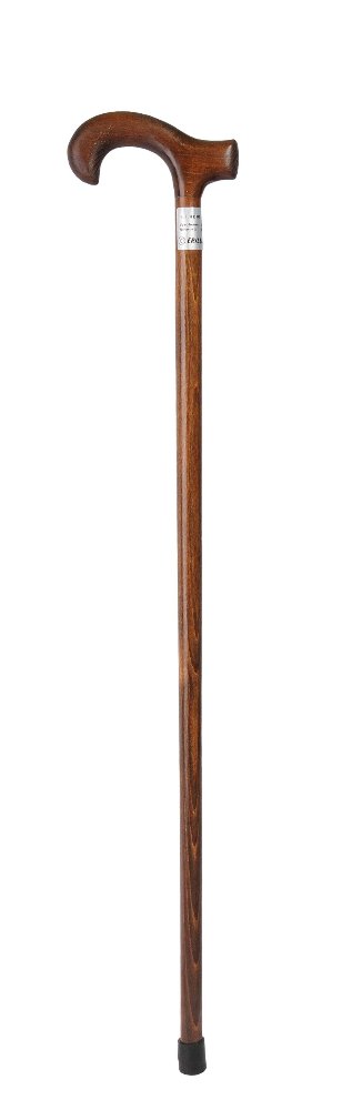 walking stick.jpg