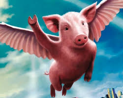flying pig.jpg
