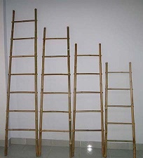 Thai bamboo ladders.jpg