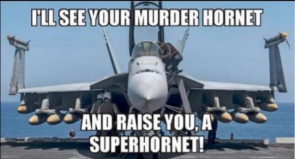 Hornet.jpg