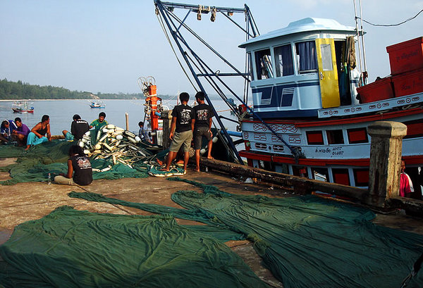 Sharing the jetty with the culprits ...