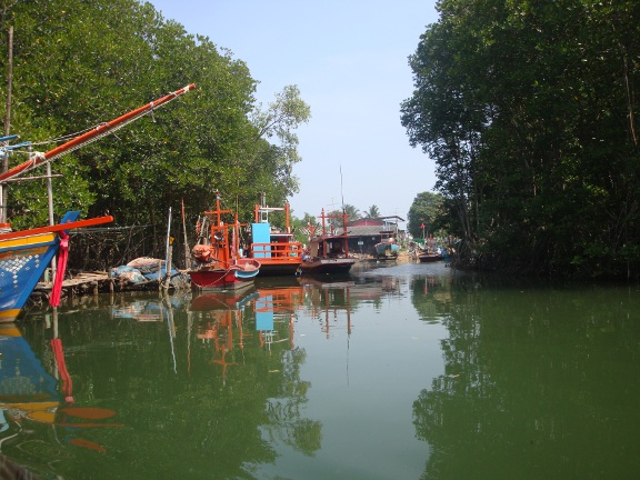 Heading into the estuary to visit our second Mangrove Forest.