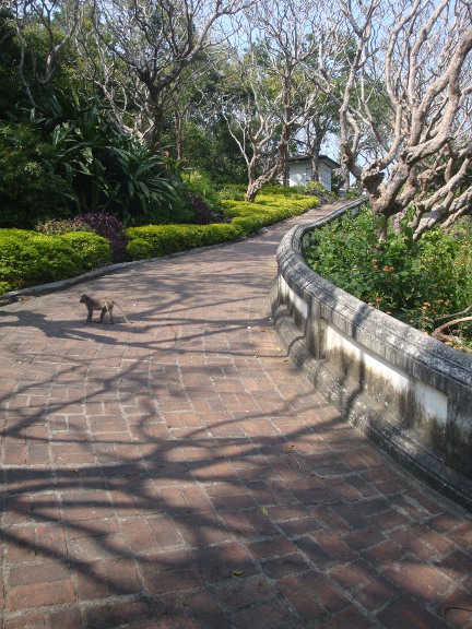 The landscaped gardens on the way up.