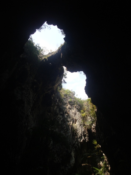 Once we'd reached the bottom, and were in the cave, looking up to where we'd come from we could see a natural bridge.