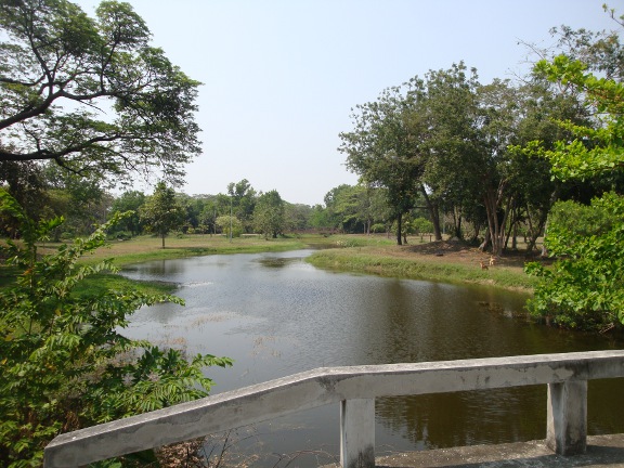 The lake from the first bridge looking South