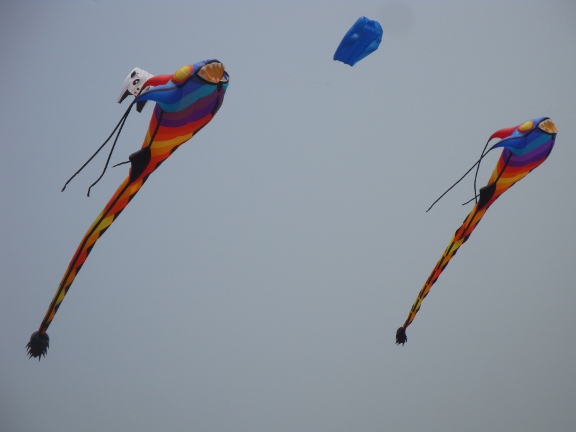 DSC03355b.JPG