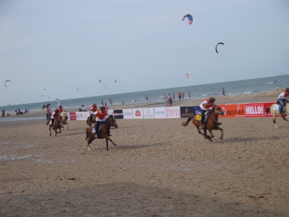 first race was for small ponies