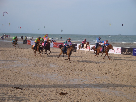 second race was for large ponies/horses