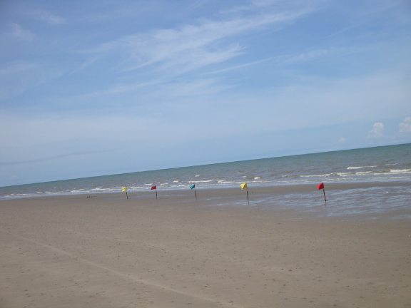 a series of coloured flags on the beach