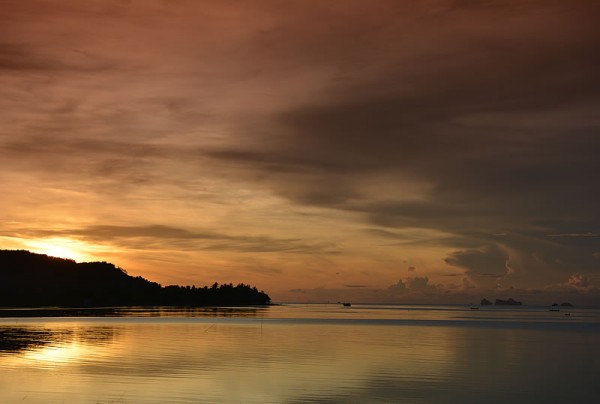 DSC_0826.jpg