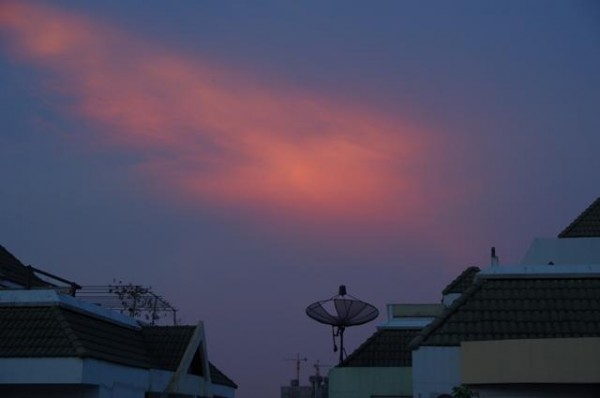 IMGP0613.JPG