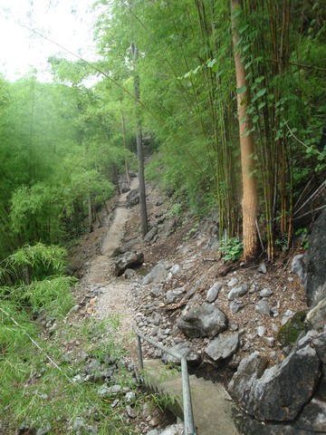 Immediately ahead of us was the first of 6 cuttings where bridges had been constructed.  We had to climb down each of there, and then back up the other side.