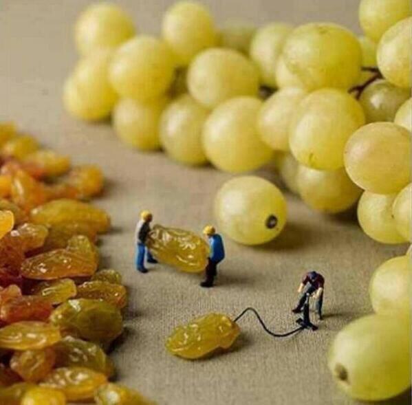 grapes.jpg