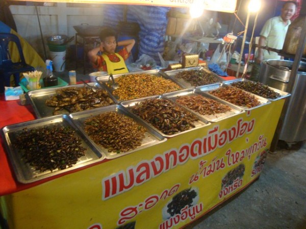 Food Stalls - Bugs