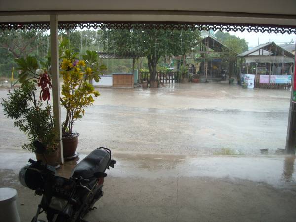 Ahh  wonderful rain!