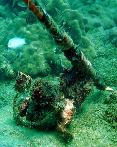 Sadly there is a lot of junk on the bottom at Koh Talu - including this coral encrusted fishing rod