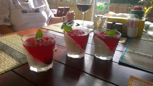 panacotta + pomegranate jelly.jpg