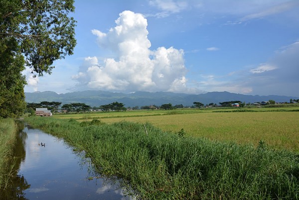 DSC_1491.jpg