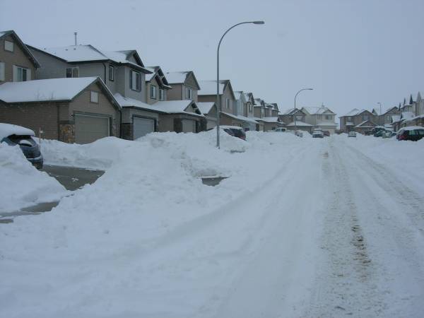 Winter and the street