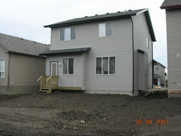 New back yard 2