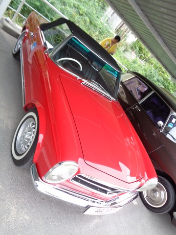 DSC01116.jpg