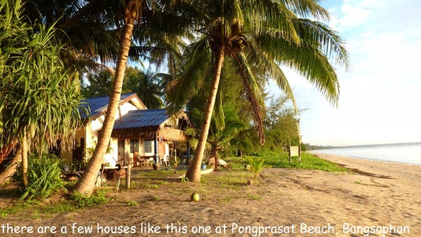 HOUSE ON THE BEACH.jpg