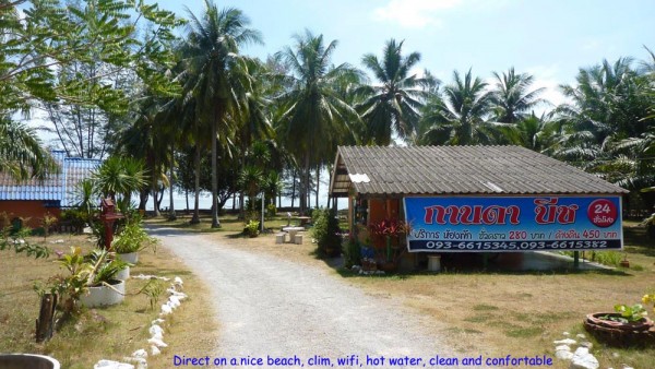 4 BUNGALOWS.jpg
