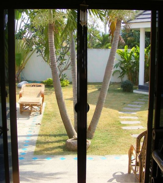 front garden.jpg