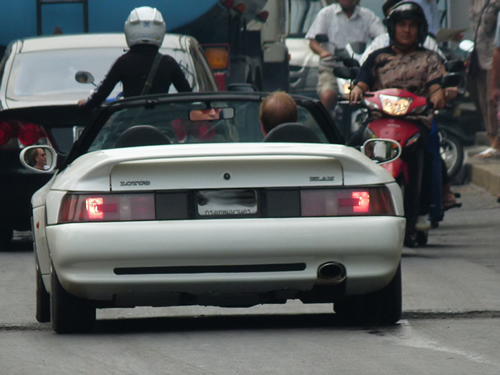 Lotus Farang.JPG
