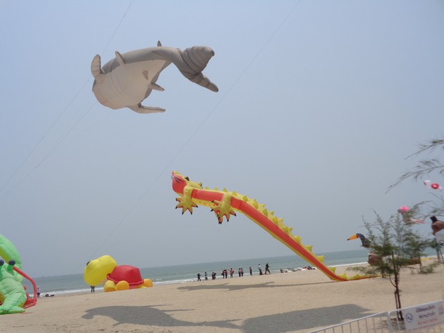 DSC00047.jpg
