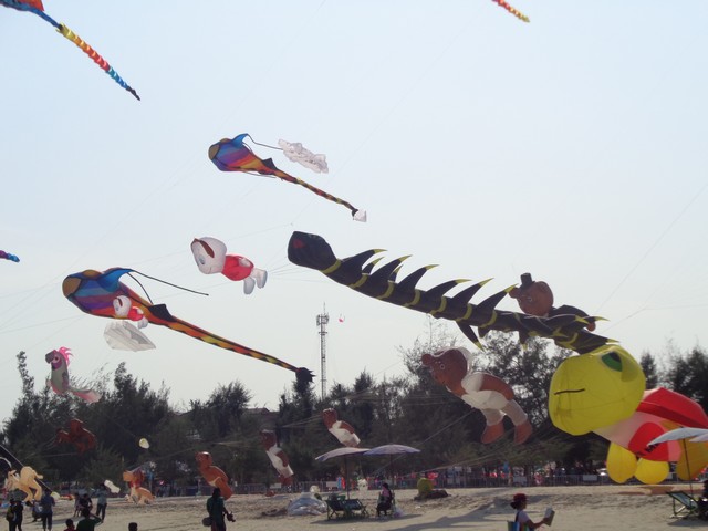 DSC00136.jpg